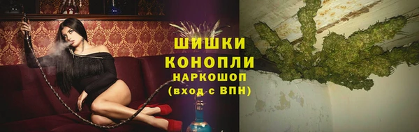 мдпв Каменка