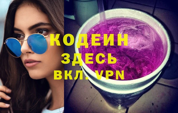 мдпв Каменка
