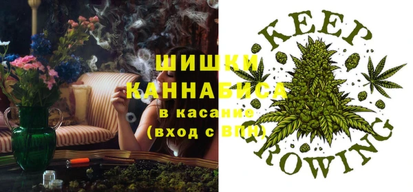эйфоретик Каменногорск
