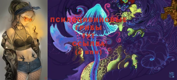 мдпв Каменка