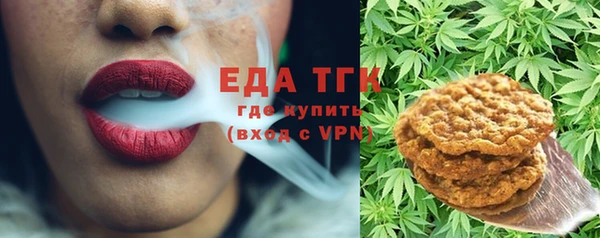 мдпв Каменка