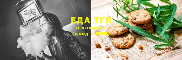 мдпв Каменка